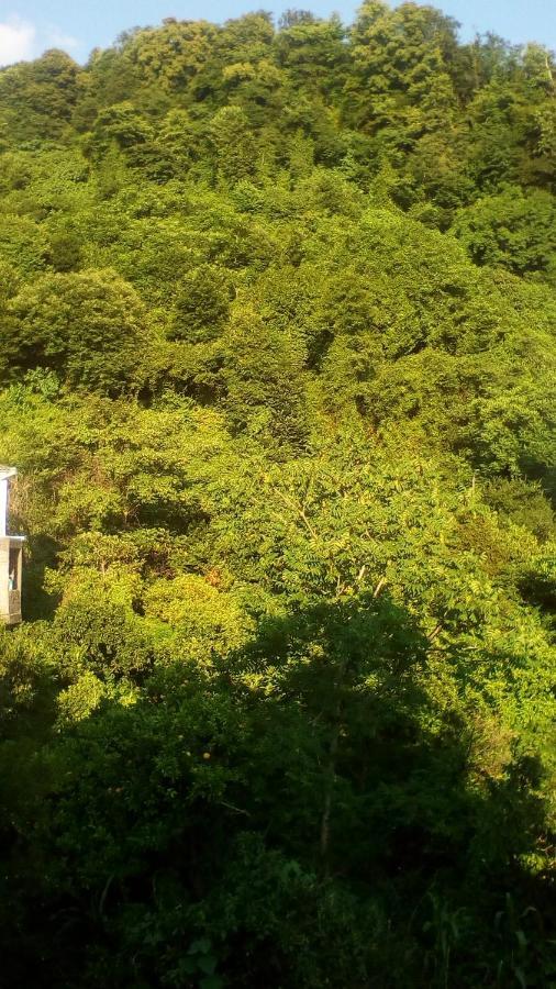 Guest House Marineza ゴニオ エクステリア 写真